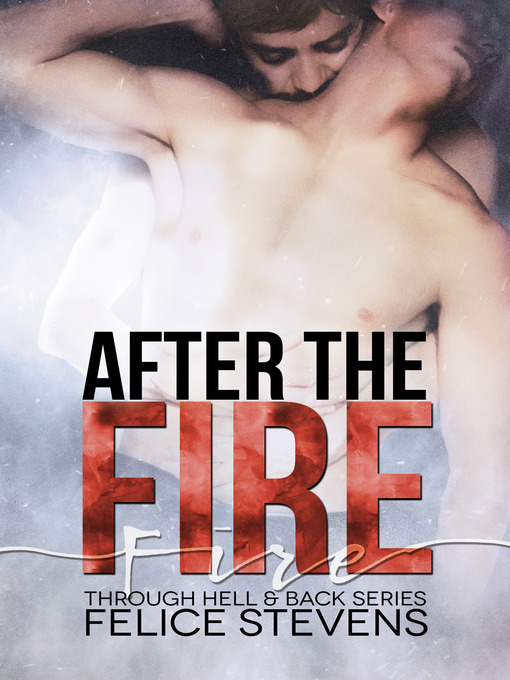 Title details for After the Fire by Felice Stevens - Wait list